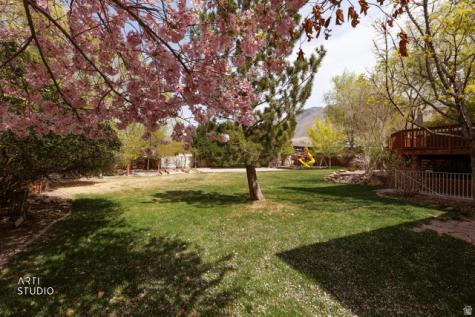 1209 E Bear Hollow Cove Draper UT 84020