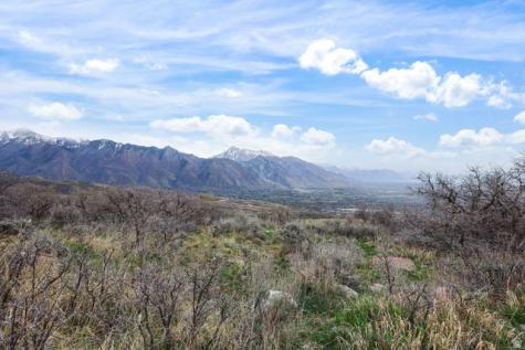 2181 E Bald Eagle Court Draper UT 84020