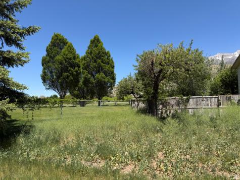 963 E 1250 N Orem UT 84097
