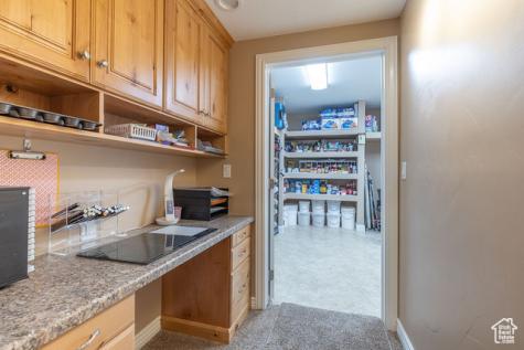 4262 N 2325 W Cedar City UT 84721