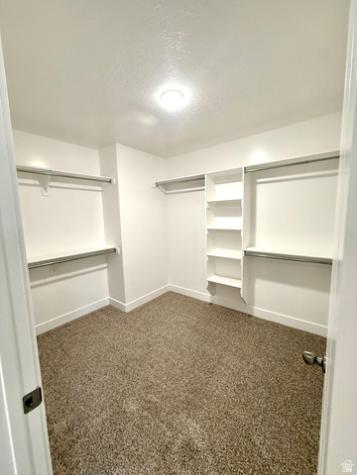 2339 E Sego Lily Drive Eagle Mountain UT 84005