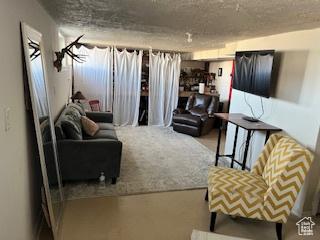 10336 S 6000 W Payson UT 84651