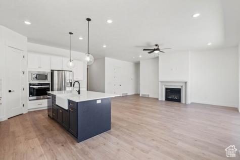 1851 West View Cove W Santaquin UT 84655