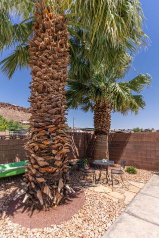 2345 S 1950 E St. George UT 84790