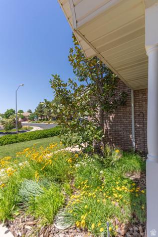 2345 S 1950 E St. George UT 84790