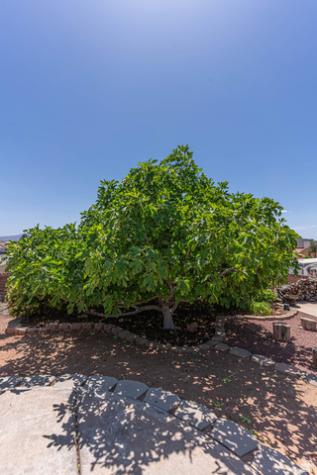 2345 S 1950 E St. George UT 84790