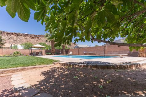 2345 S 1950 E St. George UT 84790