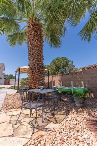 2345 S 1950 E St. George UT 84790