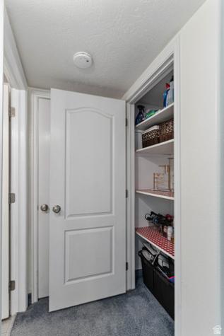 2345 S 1950 E St. George UT 84790