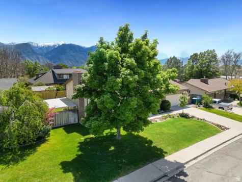 865 S 325 W Orem UT 84058