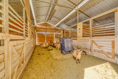 1467 E Pimlico Place Sandy UT 84092