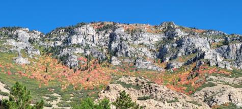 1489 E 1500 N Provo UT 84604