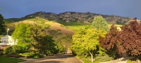 1489 E 1500 N Provo UT 84604