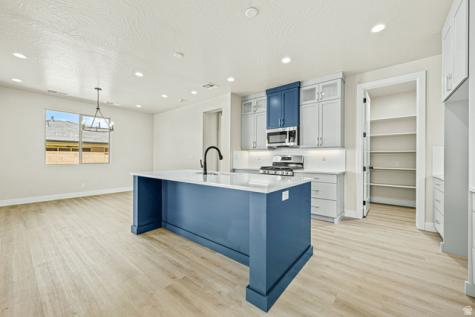 1547 N Ascent Street Washington UT 84780