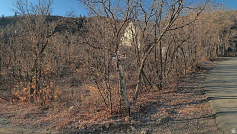 1883 W Sage Circle Midway UT 84049