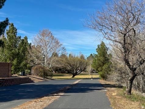 1825 W Mathis Park St. George UT 84770