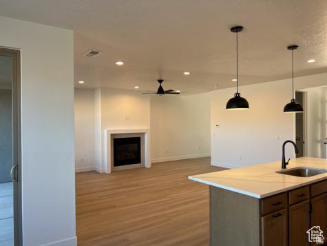 625 S Savio Drive St. George UT 84770