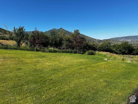1104 W Olympic Circle Midway UT 84049