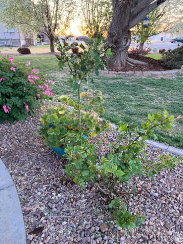 78 E 1875 S Roosevelt UT 84066