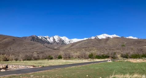 259 S Meadow Drive Springville UT 84663