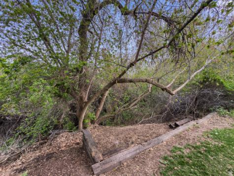 1242 E Snowcreek Drive Layton UT 84040
