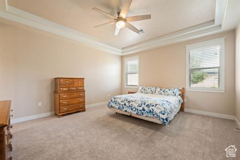 2546 E 3000 Circle S St. George UT 84790