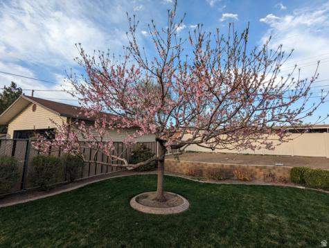 2088 N 450 W Sunset UT 84015
