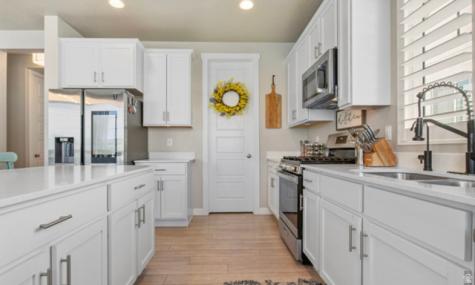 1295 E Granite Peak Road Eagle Mountain UT 84005