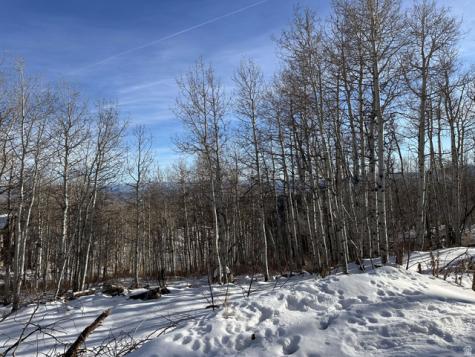 1985 W Valley Vista Drive Coalville UT 84017