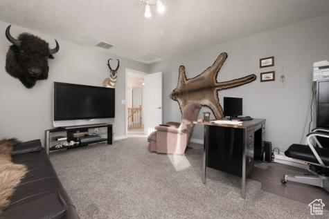 315 S 300 E Monroe UT 84754