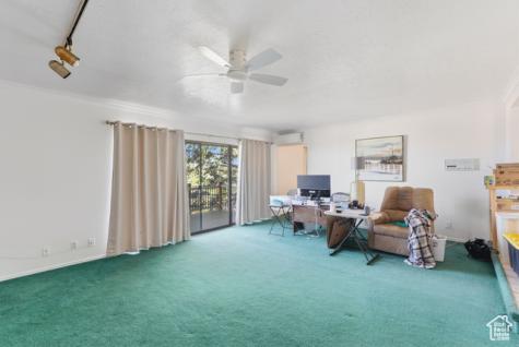 299 Sage Circle Tooele UT 84074