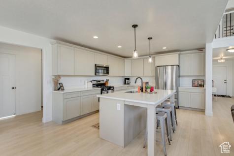 4642 N Frisco Peak Drive E Eagle Mountain UT 84005