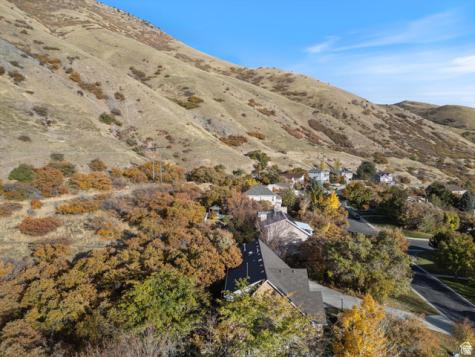 2078 E Spring Oaks Drive N Springville UT 84663