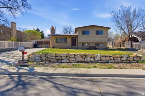 279 N 800 E Payson UT 84651
