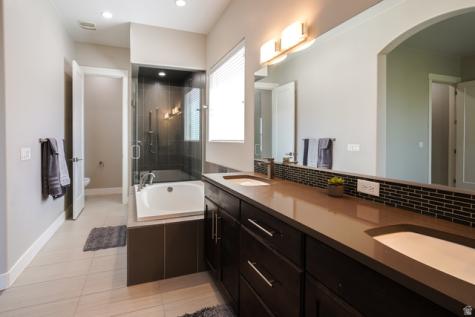 1288 E Silver Shadows Drive Washington UT 84780