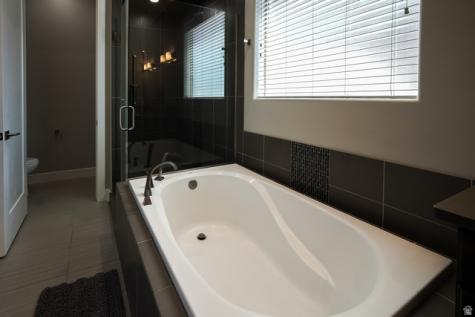 1288 E Silver Shadows Drive Washington UT 84780