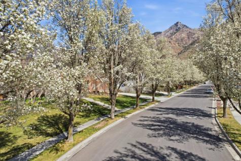 1201 E Preston Drive Alpine UT 84004