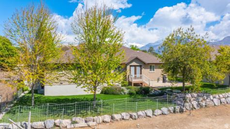 294 E 780 N American Fork UT 84003