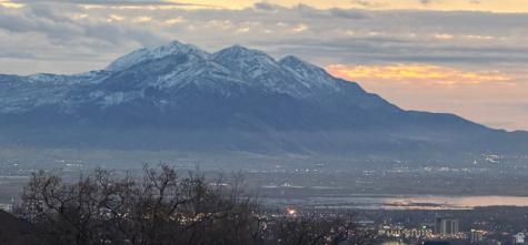 1085 E Windsor Drive Provo UT 84604