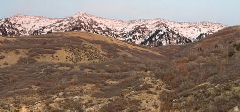 1085 E Windsor Drive Provo UT 84604