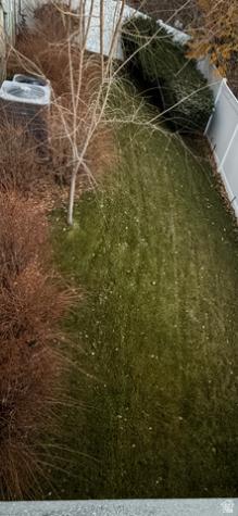 1085 E Windsor Drive Provo UT 84604