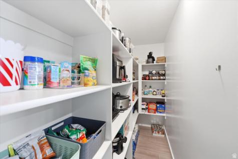 1539 S Sageberry Drive Santaquin UT 84655