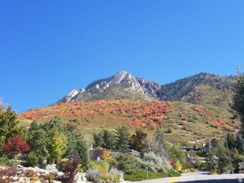 4655 S Deercreek Road E Salt Lake City UT 84124