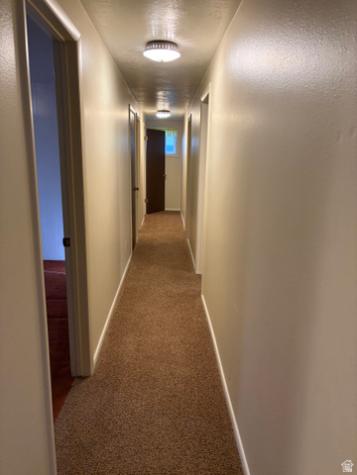 815 E Alpine Drive S Alpine UT 84004