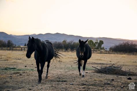 470 E Boulderville Road Oakley UT 84055