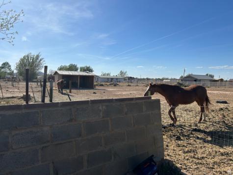 5241 N 2300 W Cedar City UT 84721