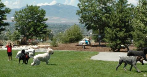 9884 S Cascade Park Drive Sandy UT 84070