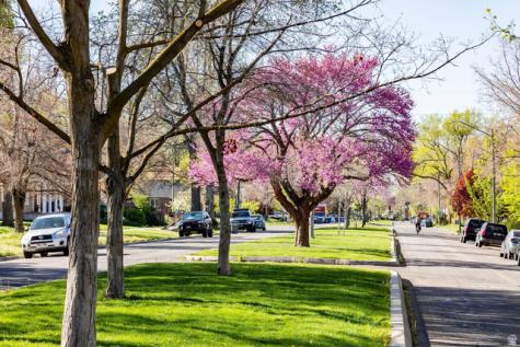 714 S 600 E Salt Lake City UT 84102