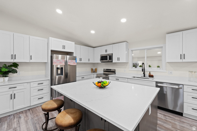 1091 E Mecham Lane Midvale UT 84047