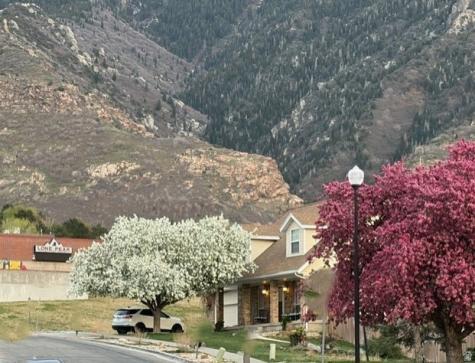 2212 E High Mesa Drive S Sandy UT 84092